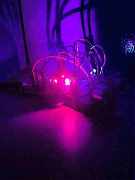 keep-my-sister-from-sneaking-up-and-scaring-the-bejeezus-... – screenshot 5