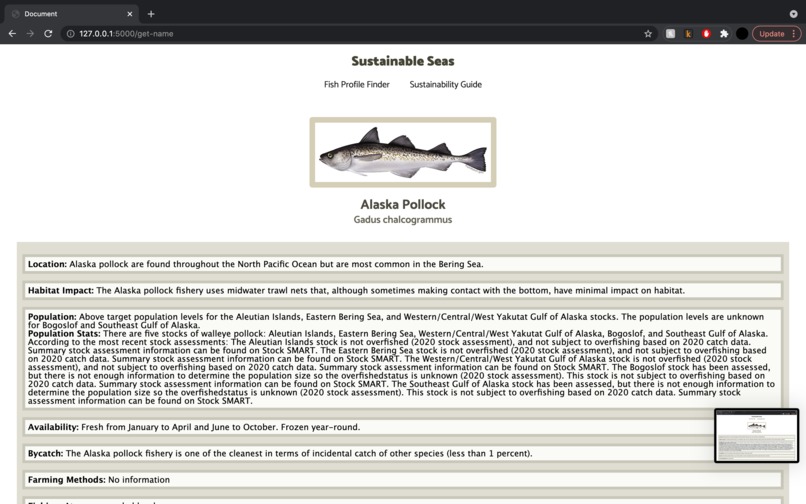 Sustainable Seas – screenshot 3