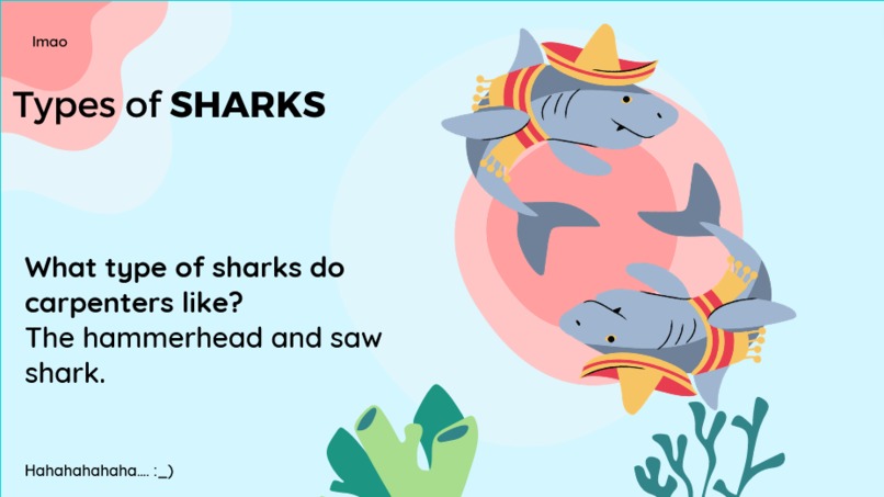 fin. – screenshot 2