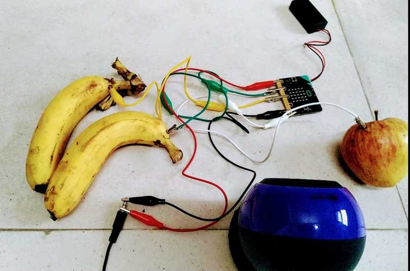 The Voice Of Fruits – screenshot 2