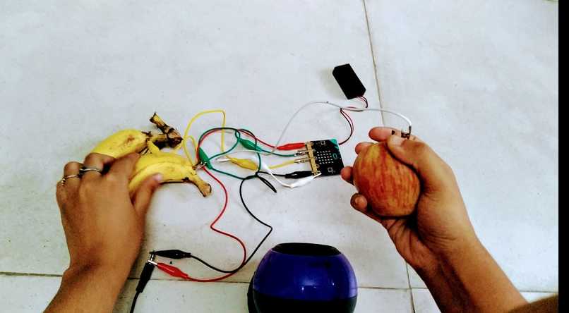 The Voice Of Fruits – screenshot 1