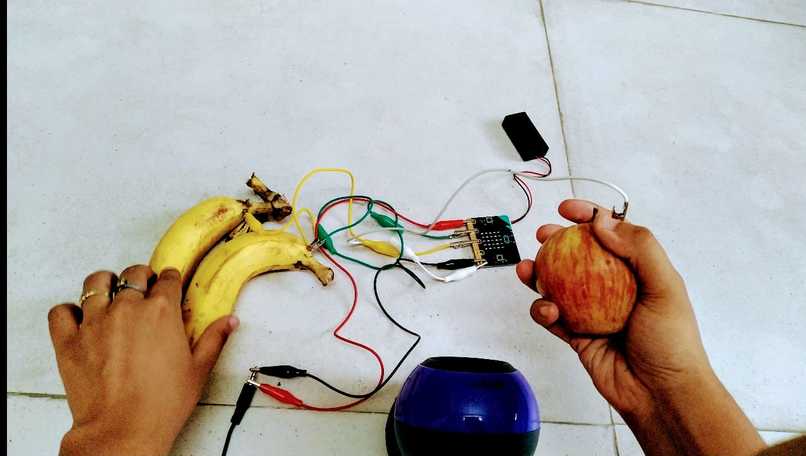 The Voice Of Fruits – screenshot 3