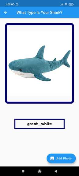 What Type is Your Shark – screenshot 3