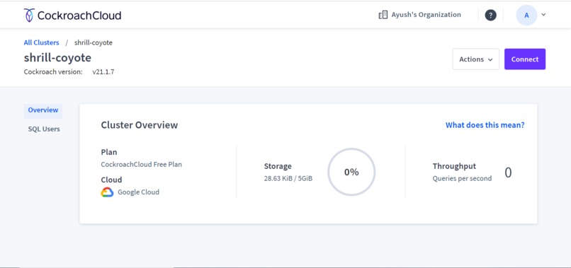 CodeSnap – screenshot 4