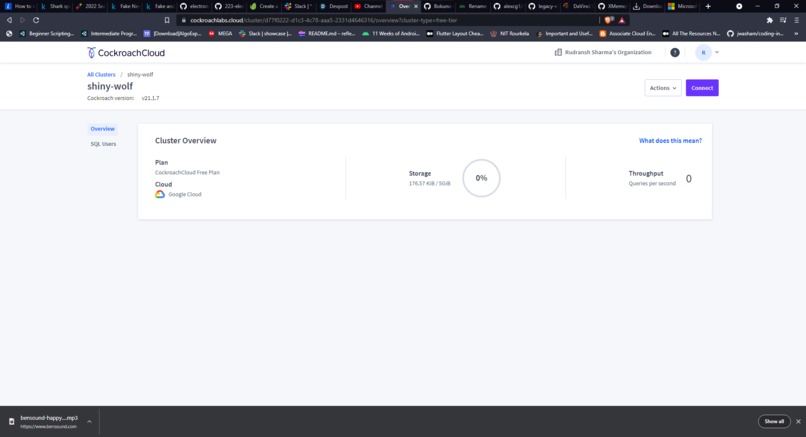 Shark-itionary – screenshot 2