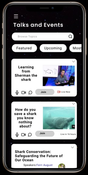 We ❤️ Sharks – screenshot 10