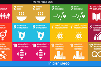 Memory Game SDGs