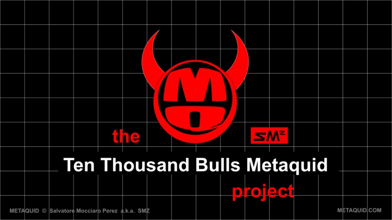the Ten Thousand Bulls Metaquid project – screenshot 1