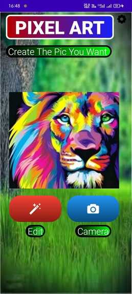 PIXEL_ART – screenshot 7