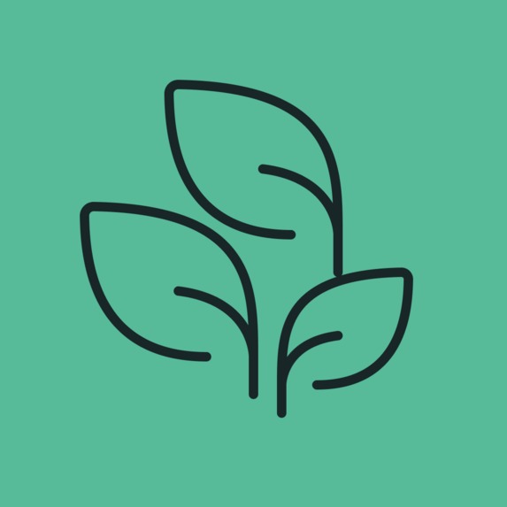 Recyclify – screenshot 1