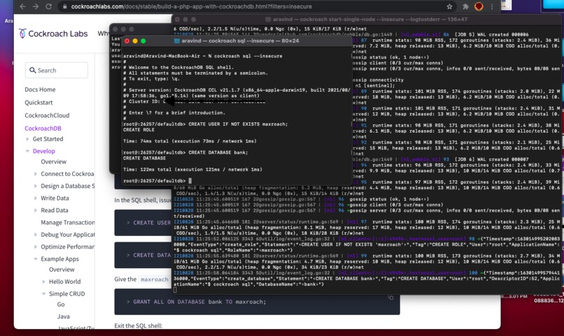 Cockroachdb – screenshot 1