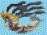 Marine Plastic & Turtles – screenshot 5