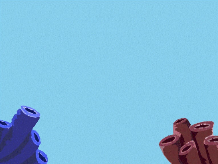 Marine Plastic & Turtles – screenshot 9