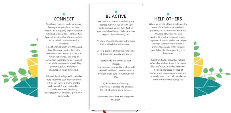 Healthshire – screenshot 7