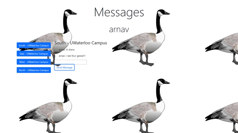 Goose-Alert – screenshot 1
