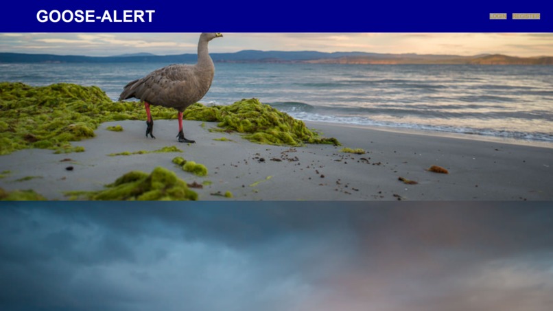 Goose-Alert – screenshot 3