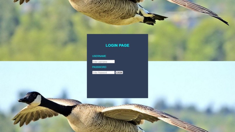 Goose-Alert – screenshot 4