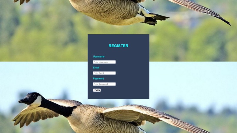 Goose-Alert – screenshot 5