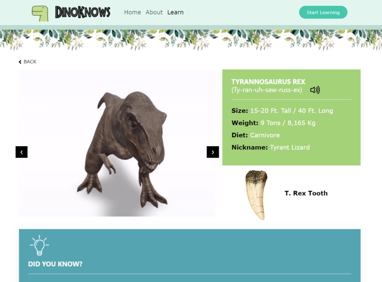 DinoKnows – screenshot 4