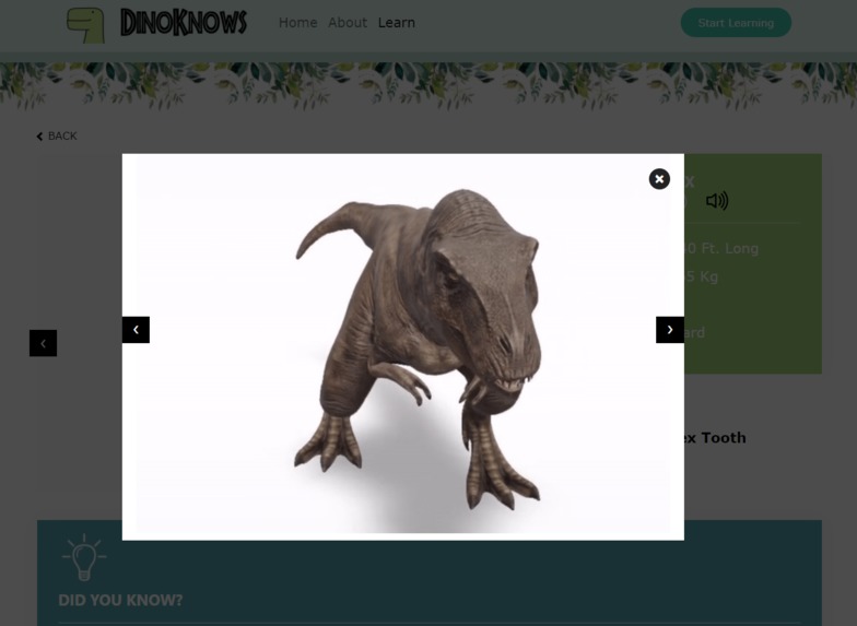 DinoKnows – screenshot 5