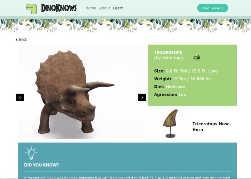 DinoKnows – screenshot 3