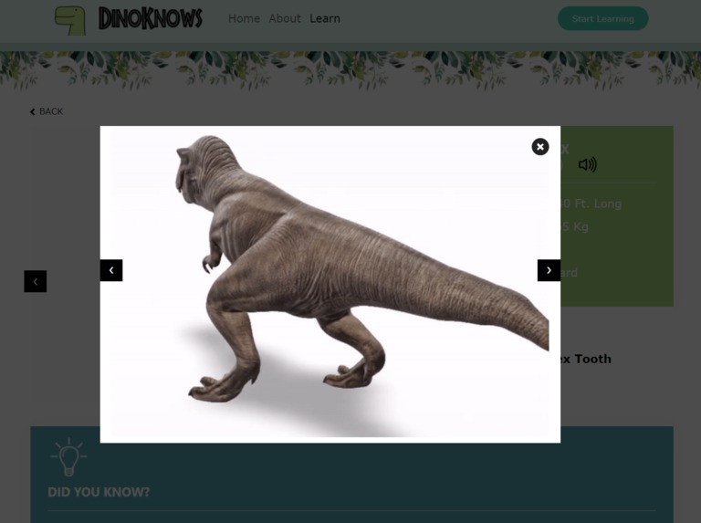DinoKnows – screenshot 6