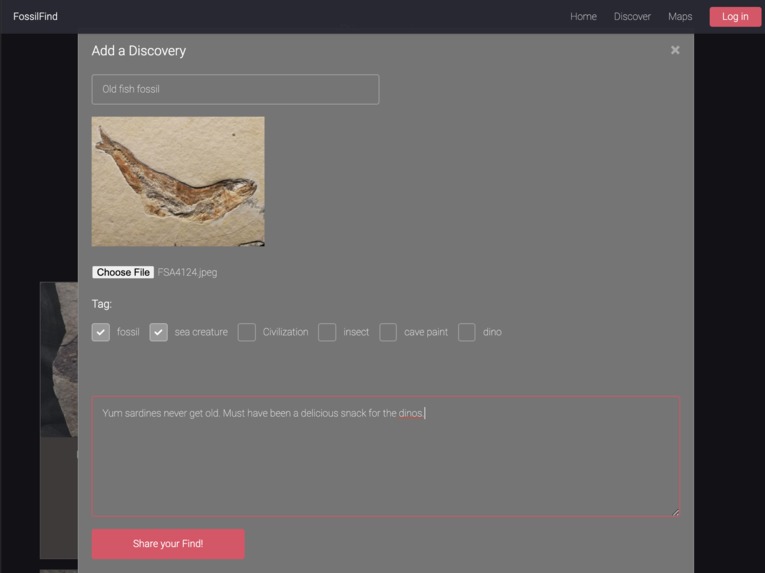 Stone Share – screenshot 4
