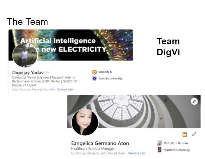 Team DigVi – screenshot 2