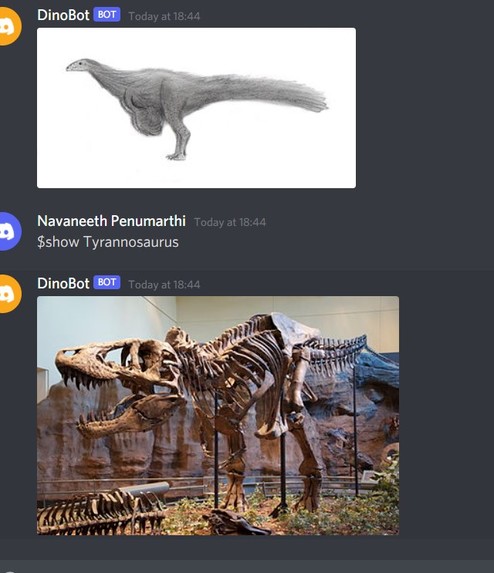 DinoBot – screenshot 4