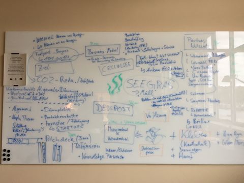 BalticTherm - Rezirkuläres Dämmmaterial aus Seegras – screenshot 1