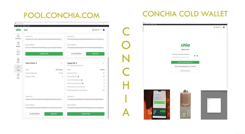 CANGOOSE GOVERNANCE pNFT (CGT) – screenshot 2