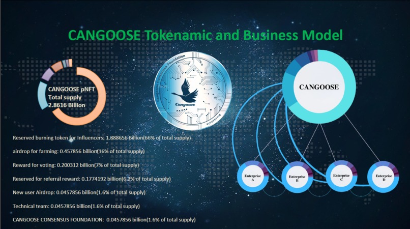 CANGOOSE GOVERNANCE pNFT (CGT) – screenshot 3