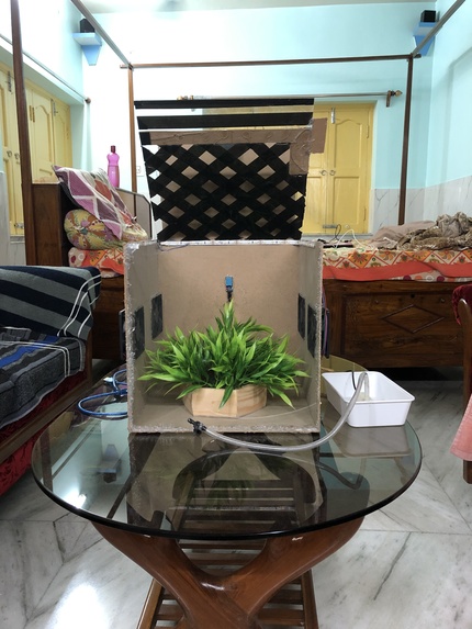 Farmingo – screenshot 4