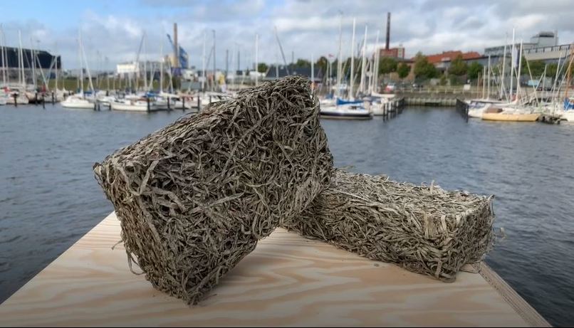 BalticTherm - Rezirkuläres Dämmmaterial aus Seegras – screenshot 7
