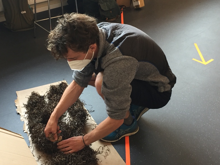 BalticTherm - Rezirkuläres Dämmmaterial aus Seegras – screenshot 6