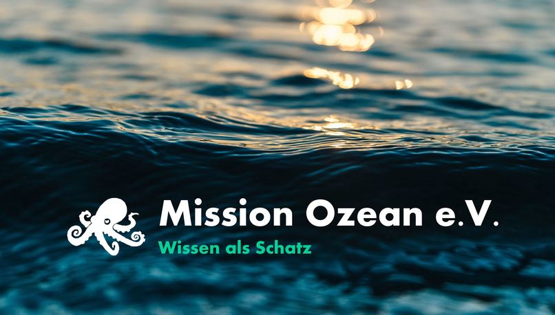 ORCC #1.1 Bildungskonzept – screenshot 2