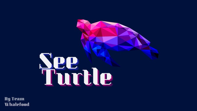 SeeTurtle - Team WhaleFood – screenshot 1
