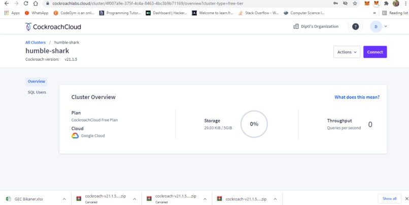 Anglino Wings1 – screenshot 1