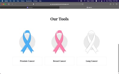 Cancer Detection website – screenshot 2