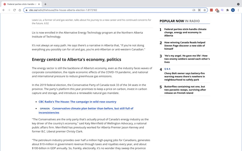 DyslexSee – screenshot 1
