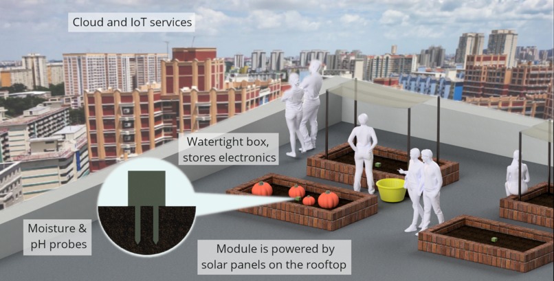 Gardens by the HDBay – screenshot 1