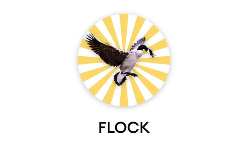 Flock – screenshot 1