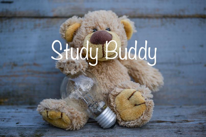Study Buddy – screenshot 1