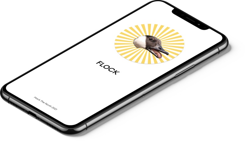 Flock – screenshot 2