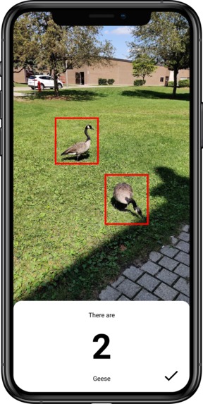 Flock – screenshot 3