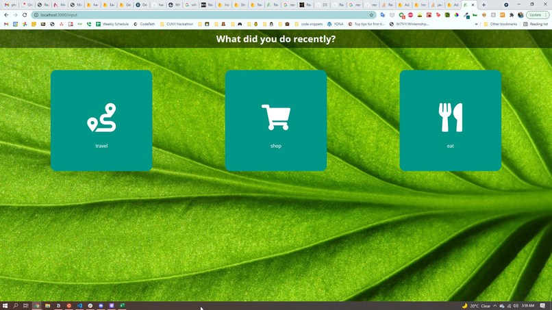 Carbon Footprint Ticker – screenshot 3
