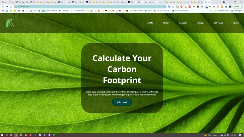 Carbon Footprint Ticker – screenshot 2