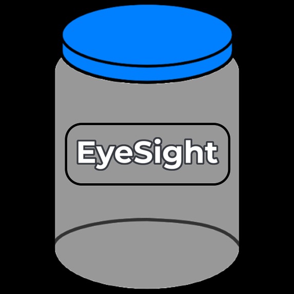 EyeSight – screenshot 1