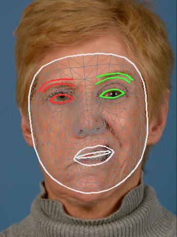 Physiodetect – screenshot 2