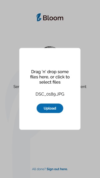 Bloom – screenshot 10